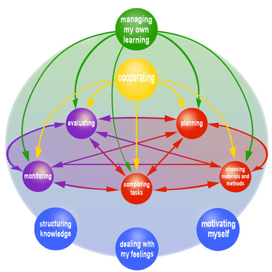 Dynamic Autonomy Model with Descriptors