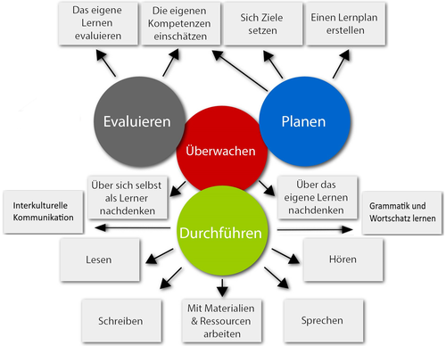 Grundphasen des Lernprozesses